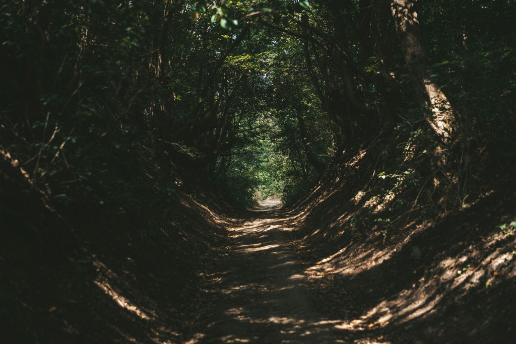 Finding Your Way with Honest&nbsp;Questions