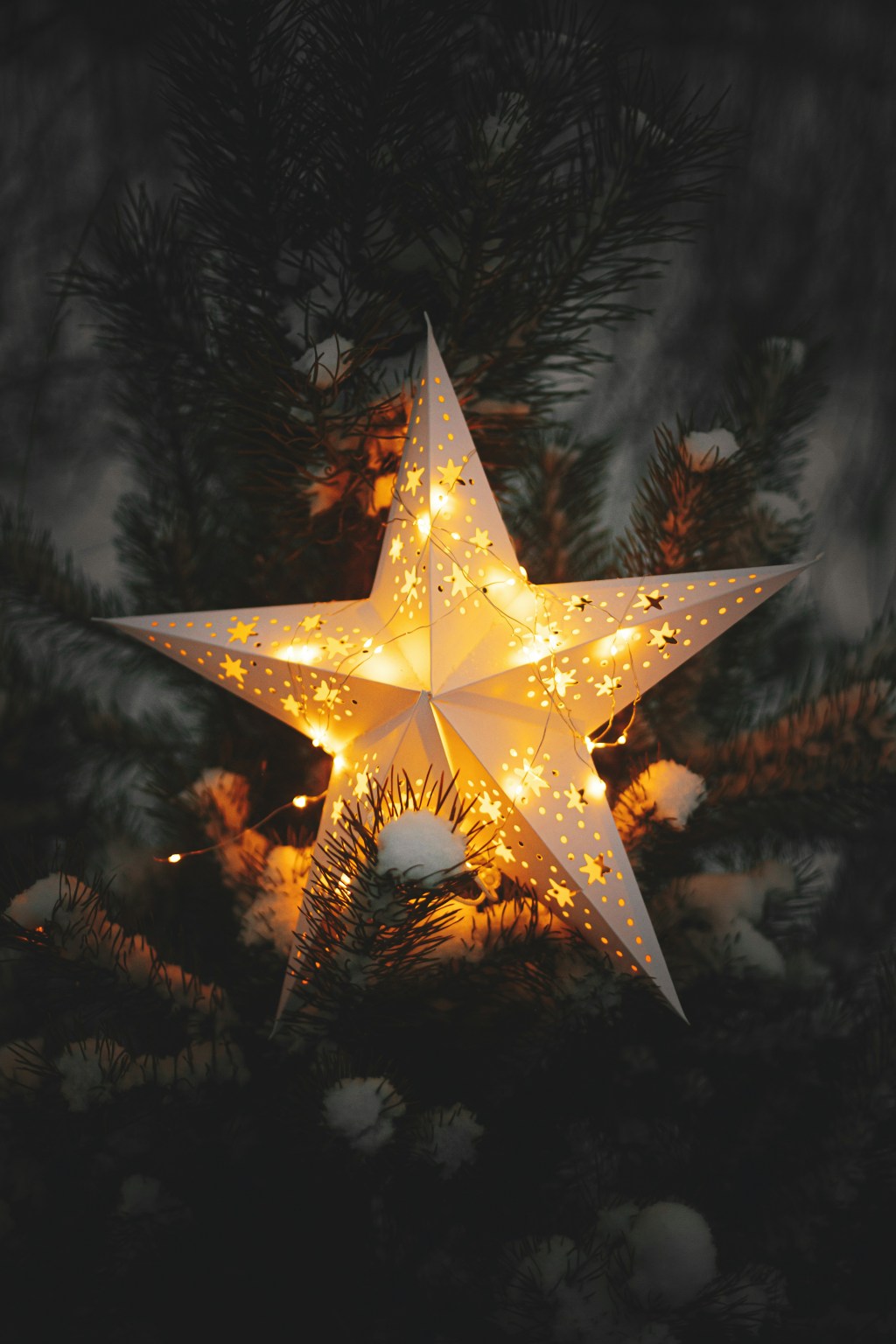 Star Shining Bright