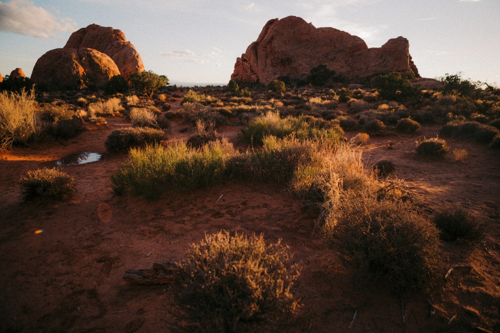 Wilderness Discomfort