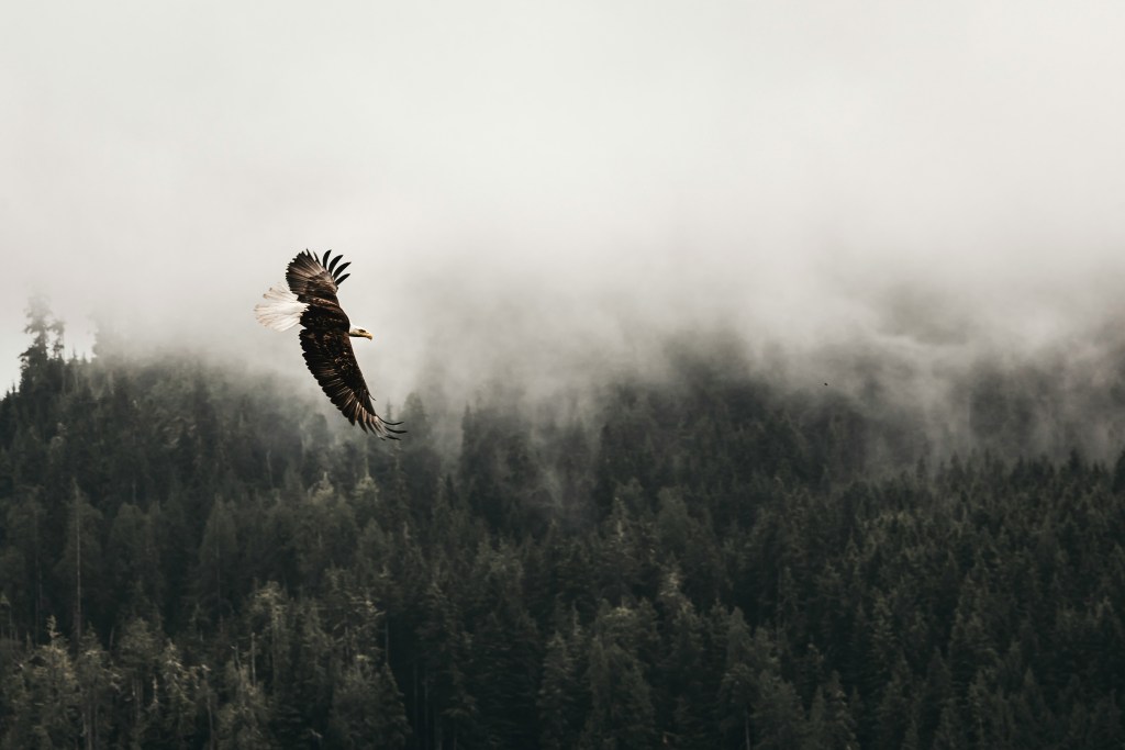 Freedom. It’s Love’s&nbsp;choice.
